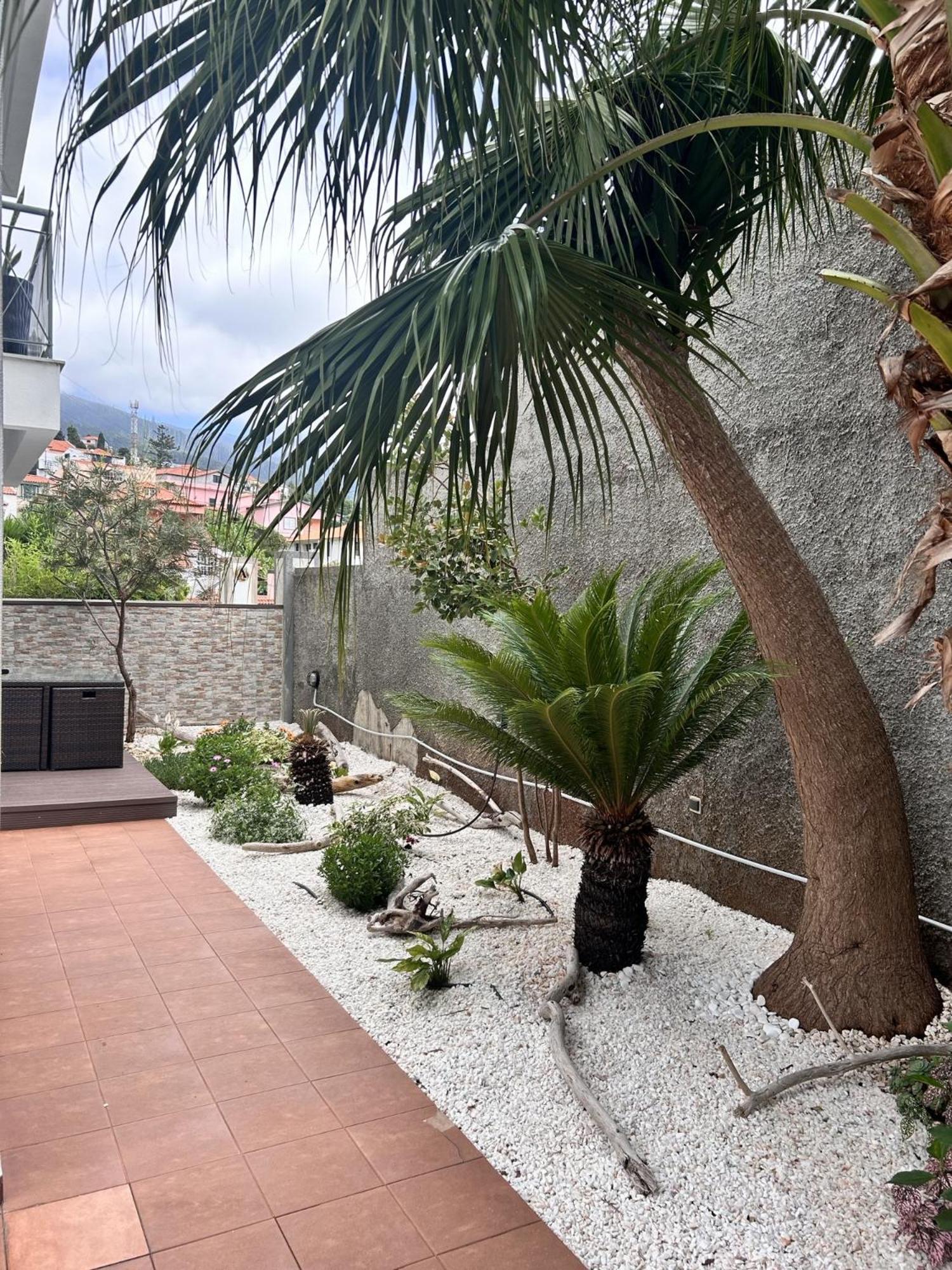 Apartment To By Madeira Sun Travel